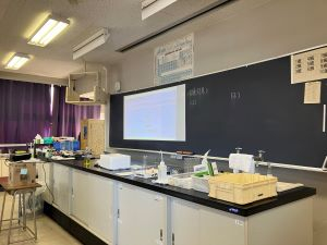 Image - 2025-01-29T114136.678